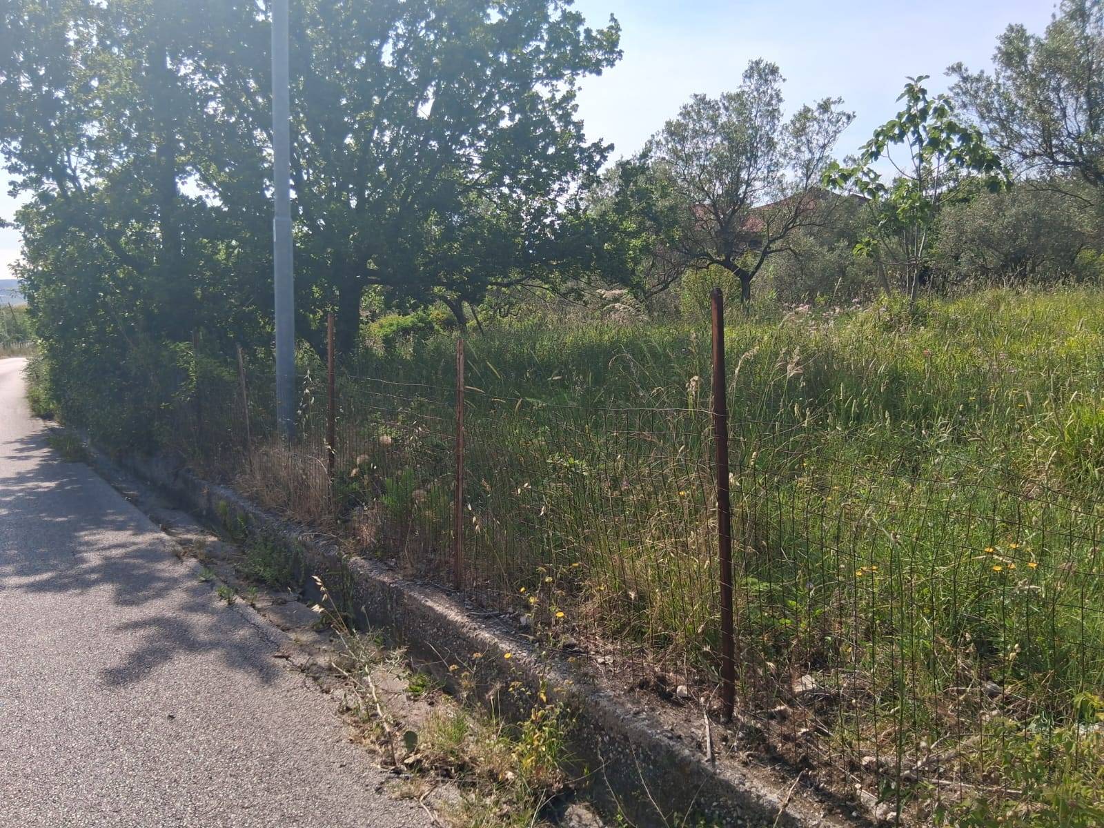 Terreno Agricolo in vendita a Capaccio Paestum