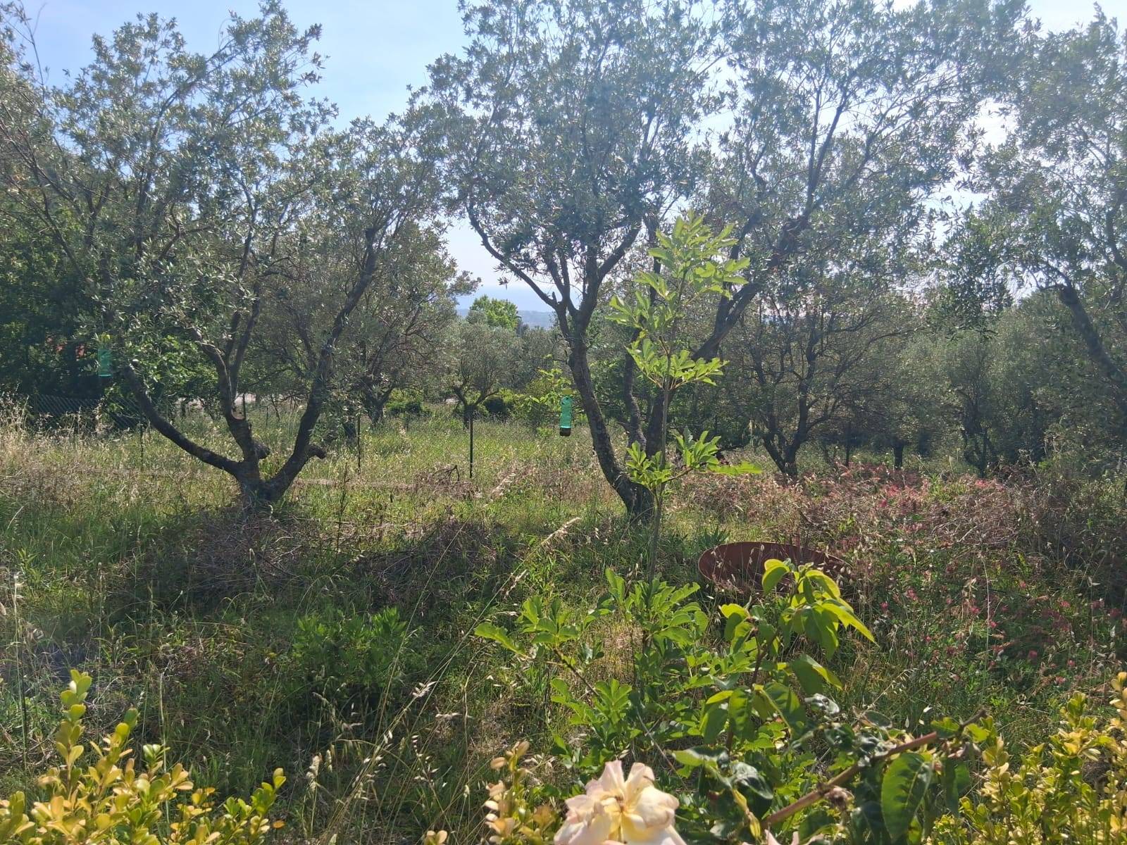 Terreno Agricolo in vendita a Capaccio Paestum