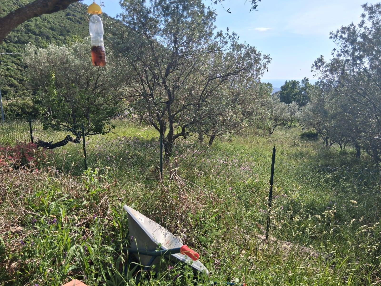 Terreno Agricolo in vendita a Capaccio Paestum