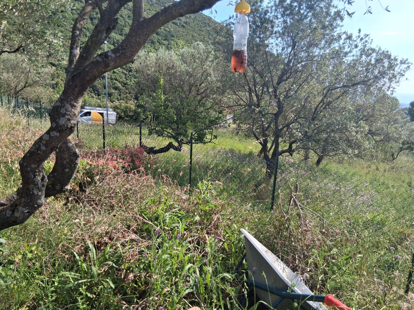 Terreno Agricolo in vendita a Capaccio Paestum