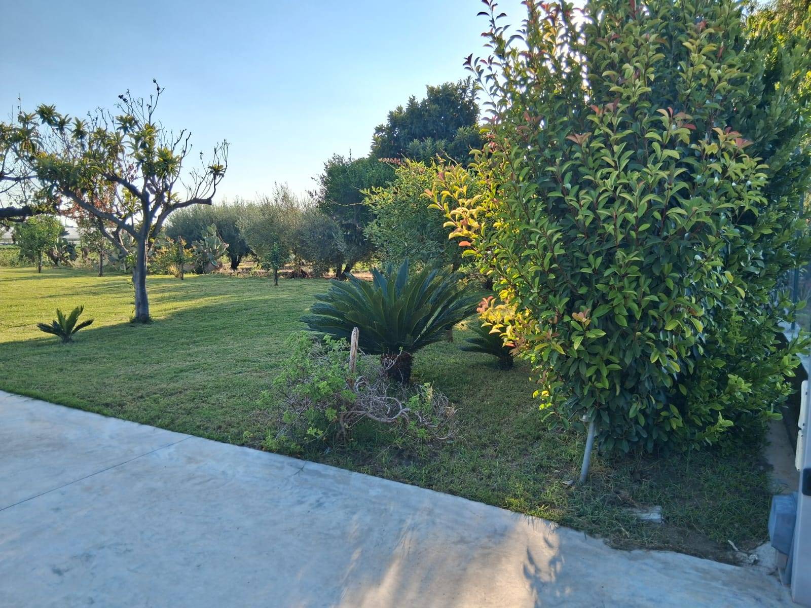 Villa Singola in vendita a Capaccio Paestum, Capaccio Scalo