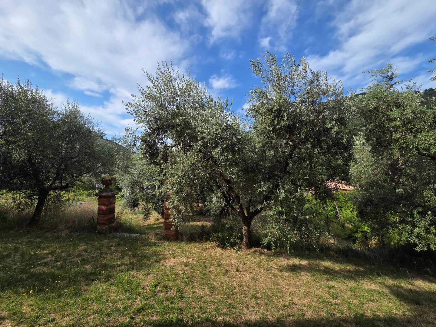 Villa con giardino, Lucca mastiano