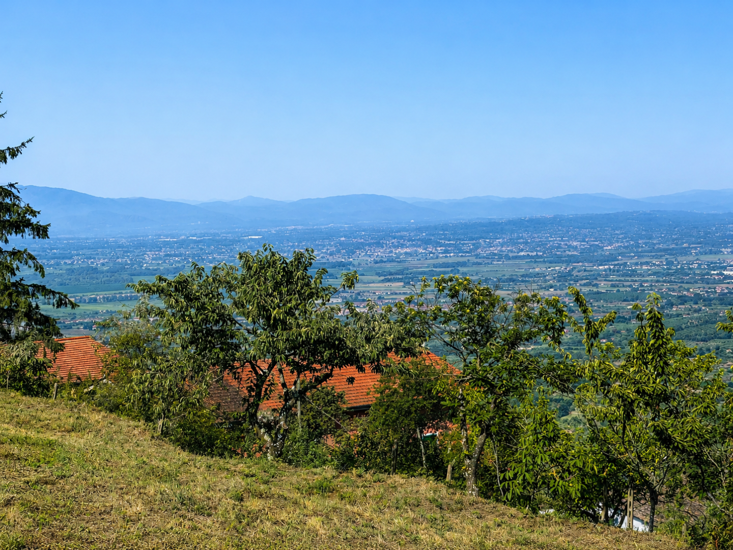 Rustico in vendita a Larciano