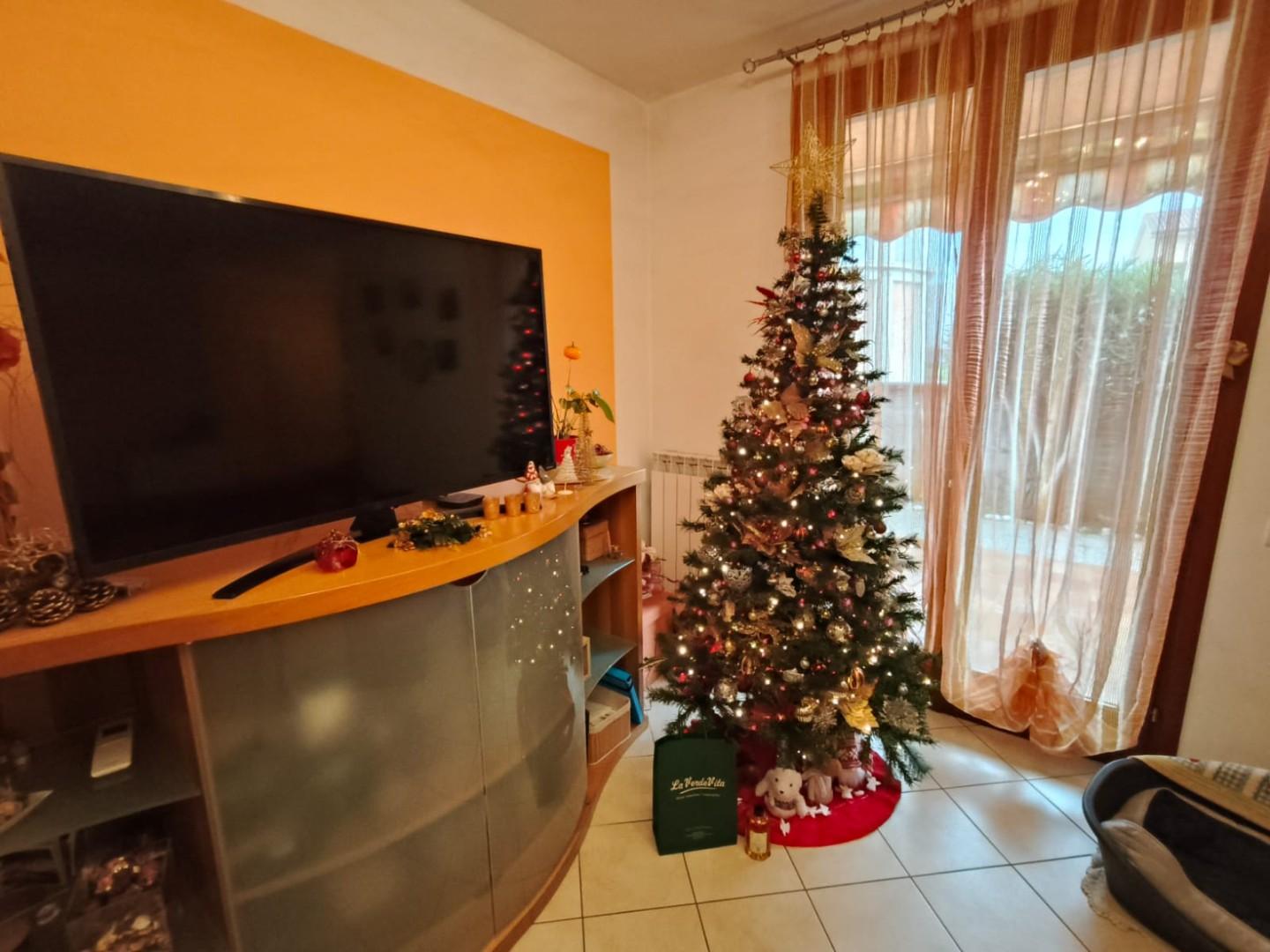 immagine annuncio 1 di 6