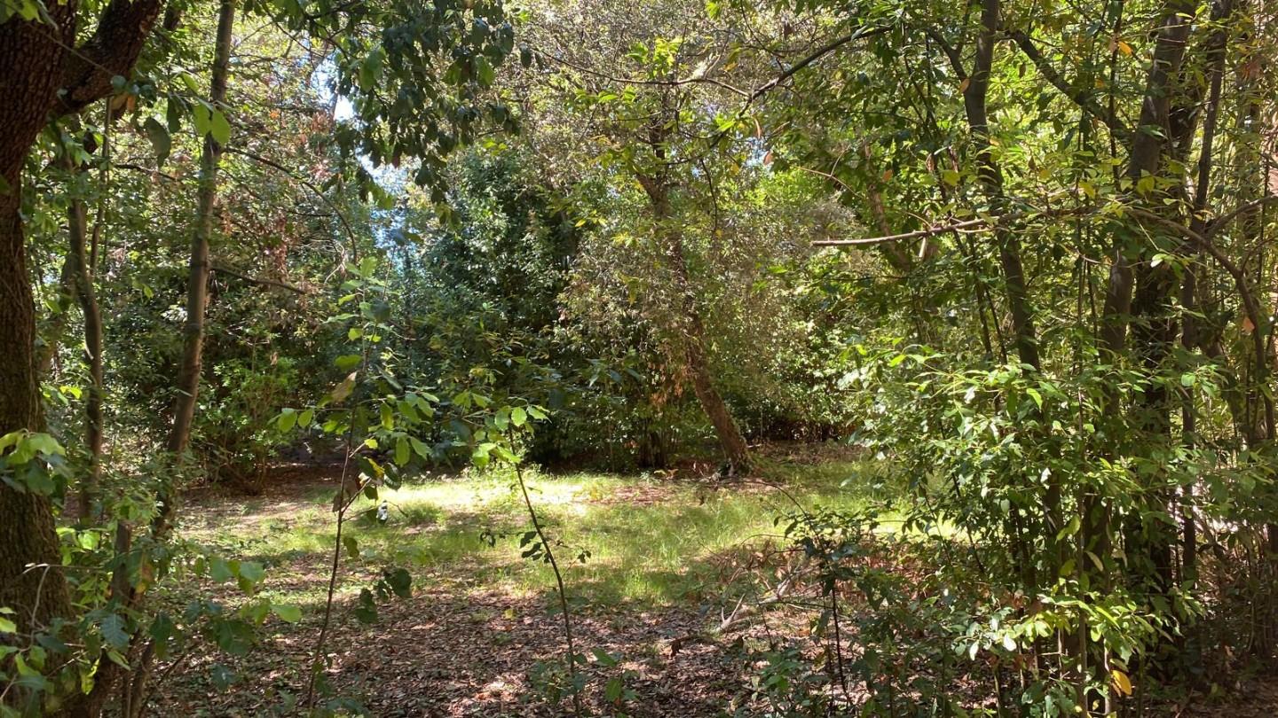 Appartamento con giardino, Pisa pratale