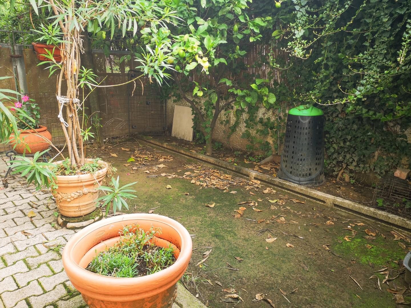 Quadrilocale con giardino, Massa zona viali