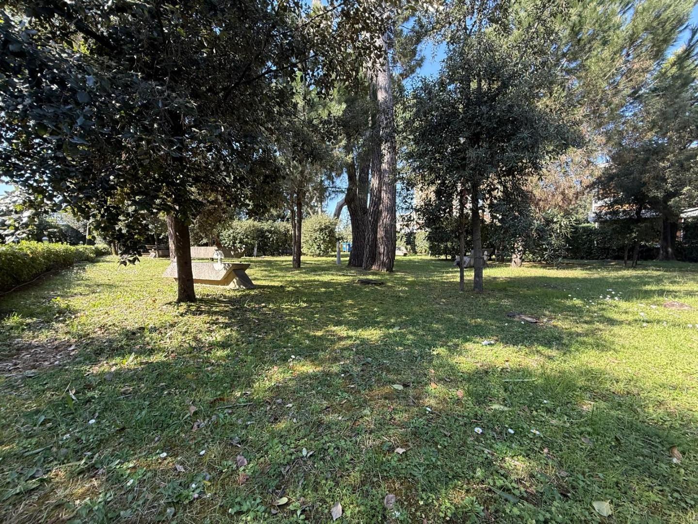 Villa in vendita, Massa ronchi