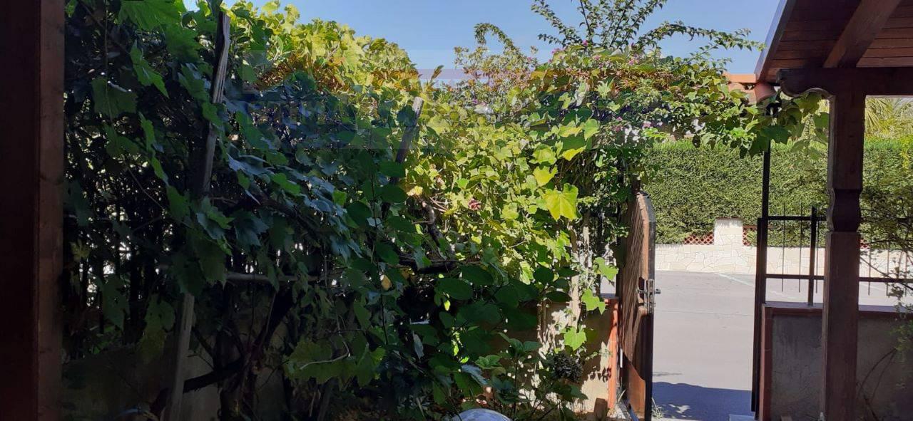 Villa in vendita a Santa Maria del Cedro