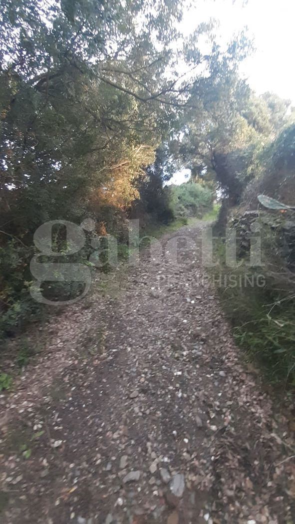 Terreno Agricolo in vendita a San Basilio