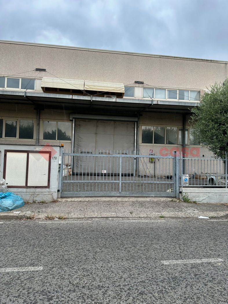 Capannone in affitto a Campi Bisenzio