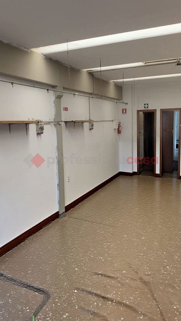 Laboratorio in affitto a Campi Bisenzio
