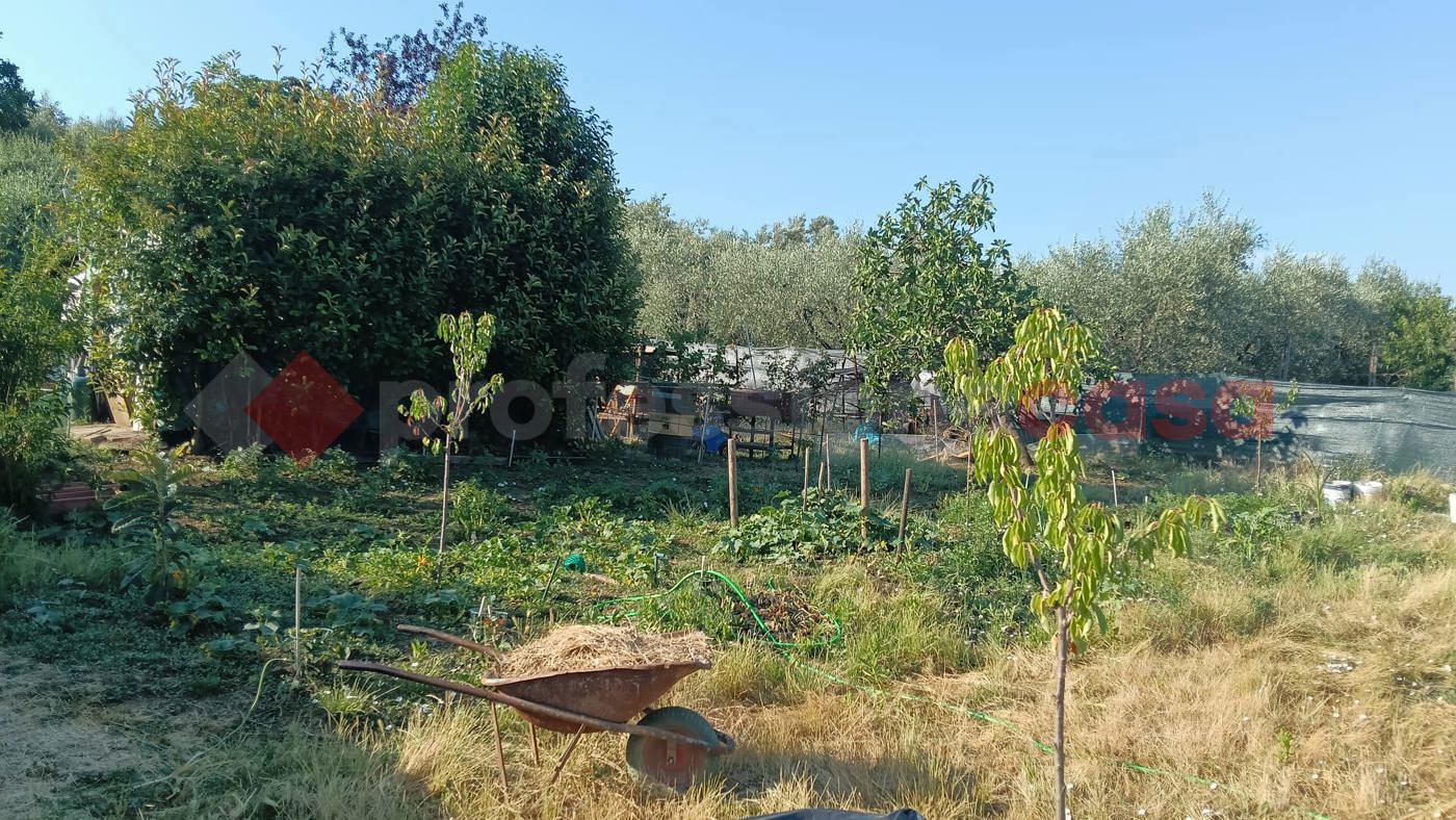 Terreno Agricolo in vendita a Scandicci