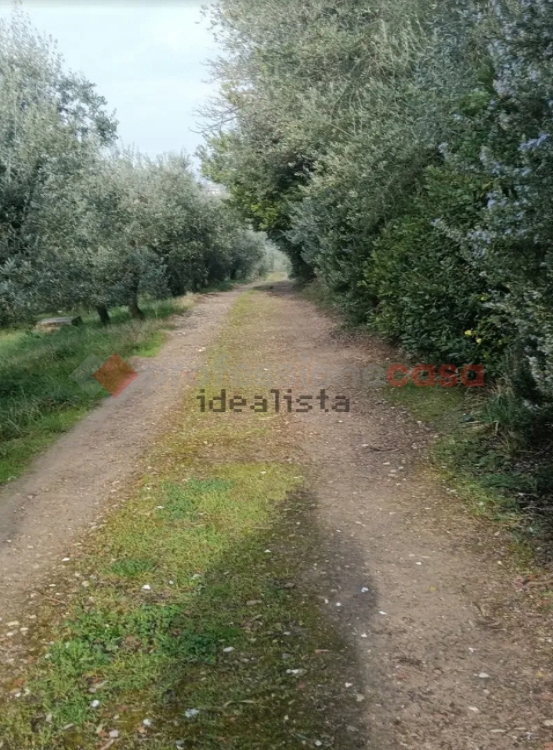 Terreno Agricolo in vendita a Scandicci