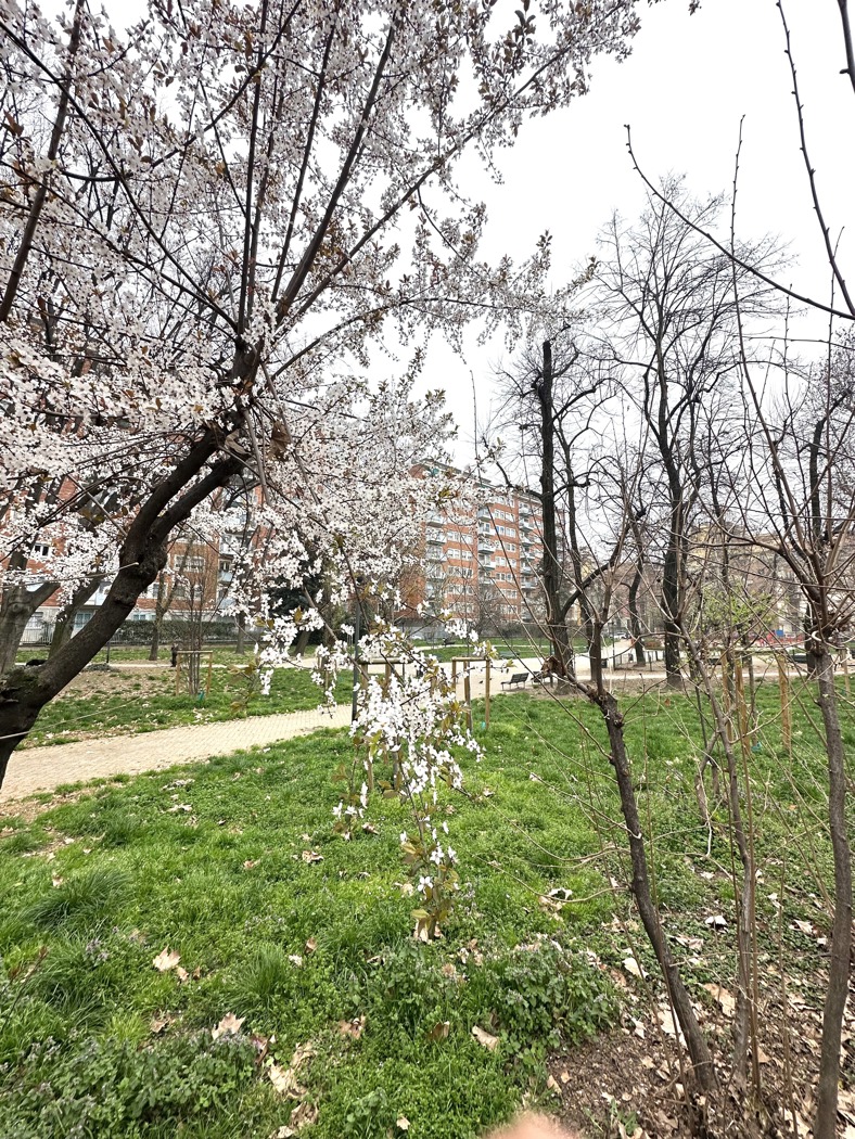 Magazzino in vendita a Milano