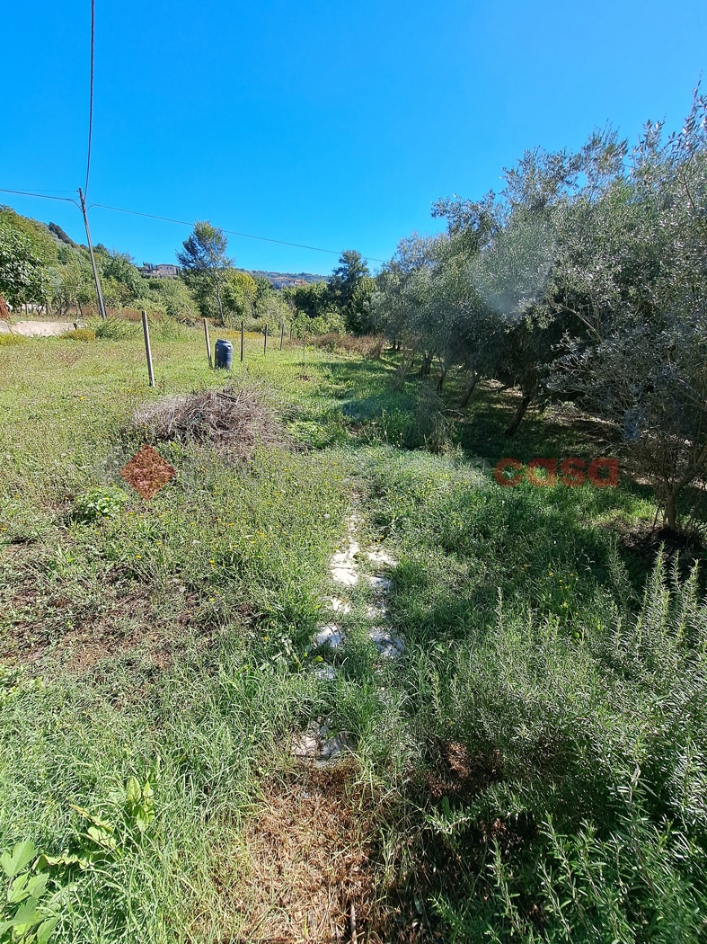 immagine annuncio 7 di 8