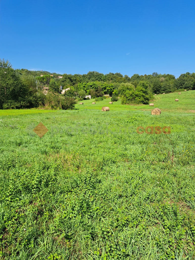 Rustico da ristrutturare a Casalvieri