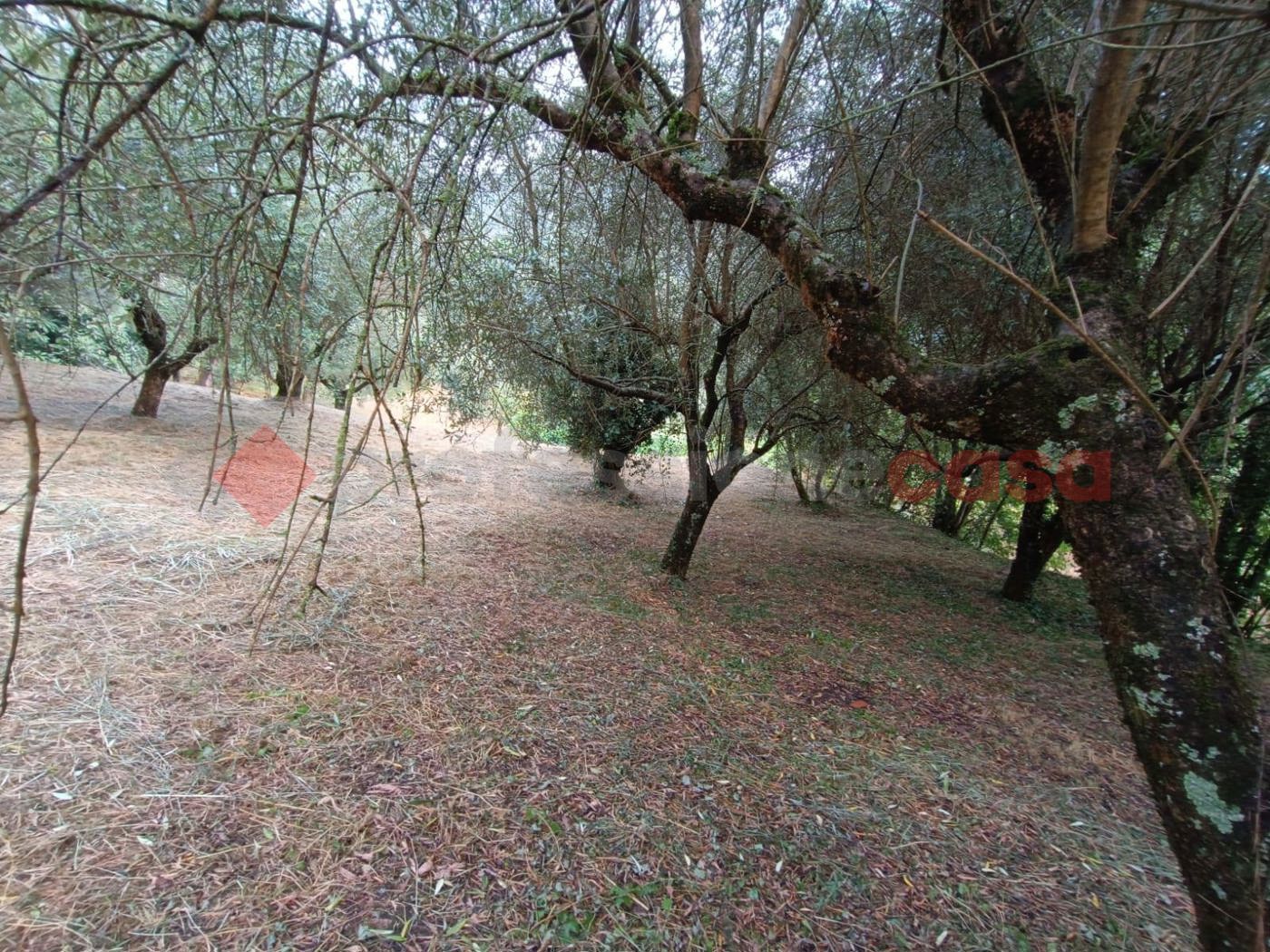 Casa indipendente in vendita a Vicalvi