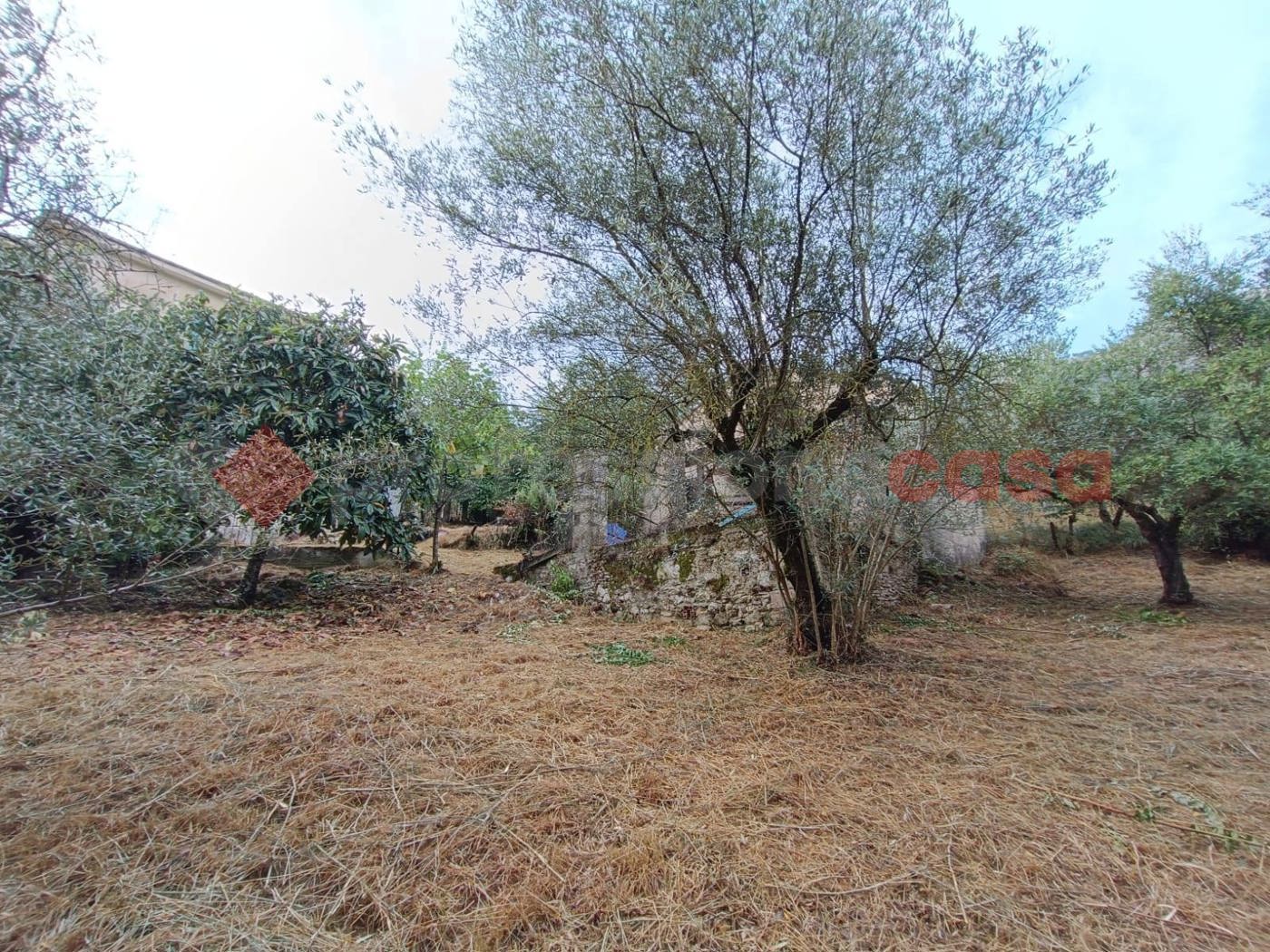 Casa indipendente in vendita a Vicalvi