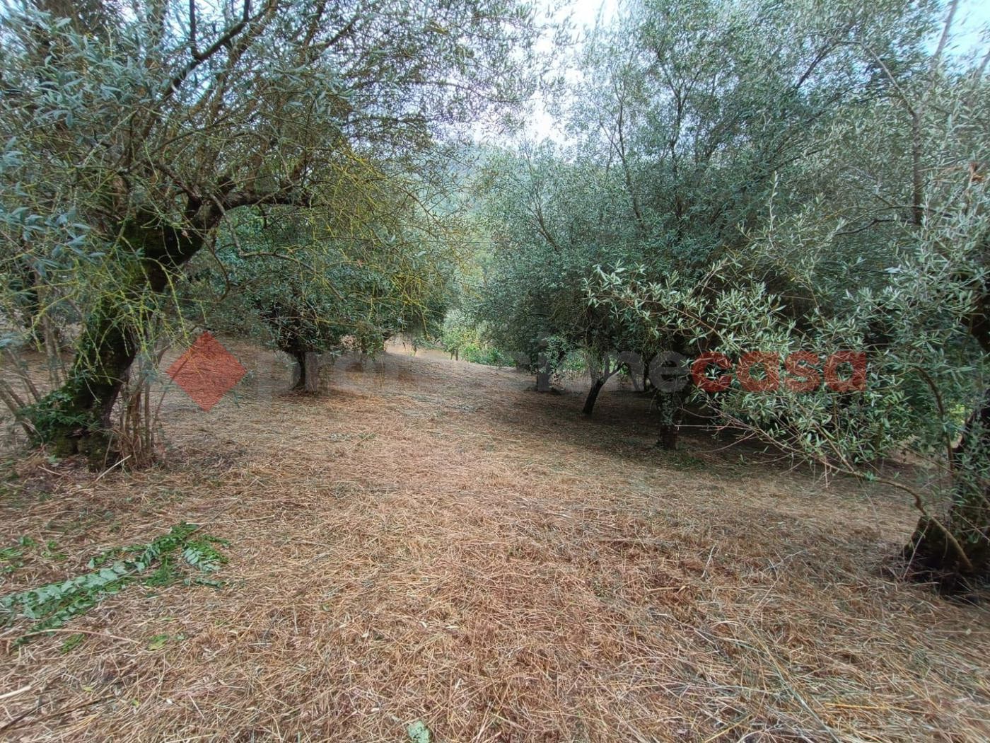 Casa indipendente in vendita a Vicalvi