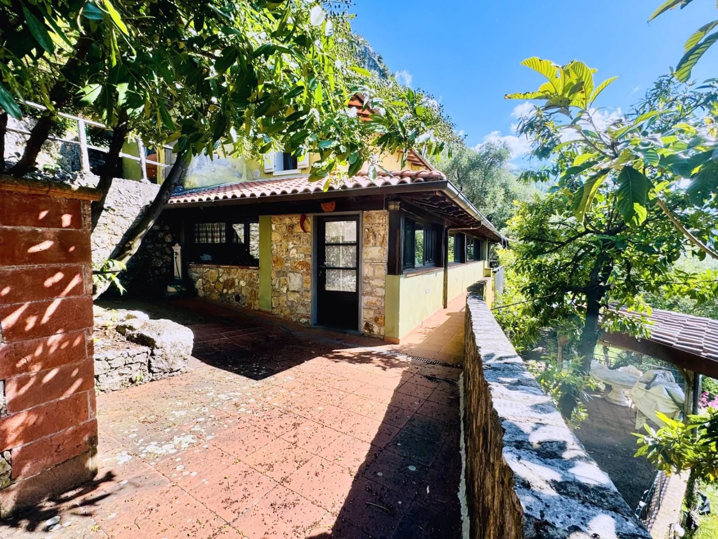 casa indipendente in vendita a Camaiore in zona Greppolungo