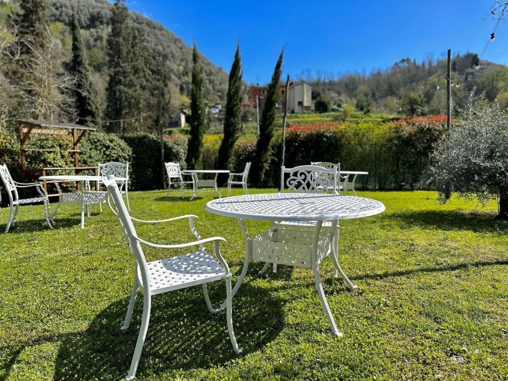 immagine annuncio 2 di 6