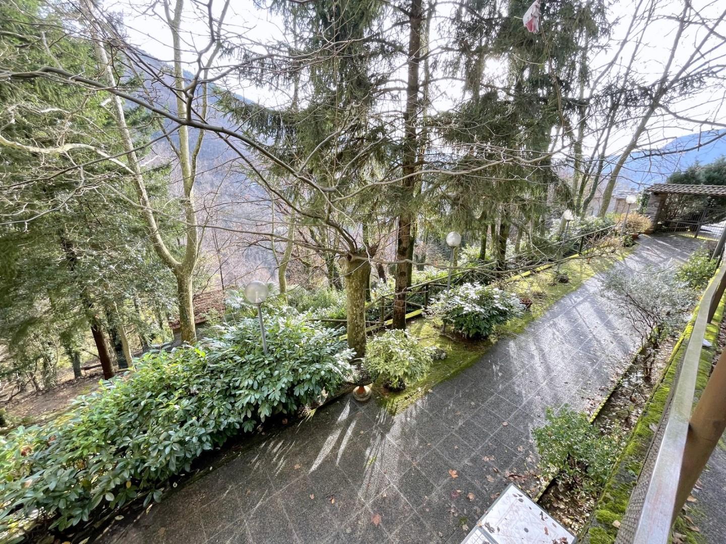 Attivit� commerciale in vendita, Stazzema levigliani