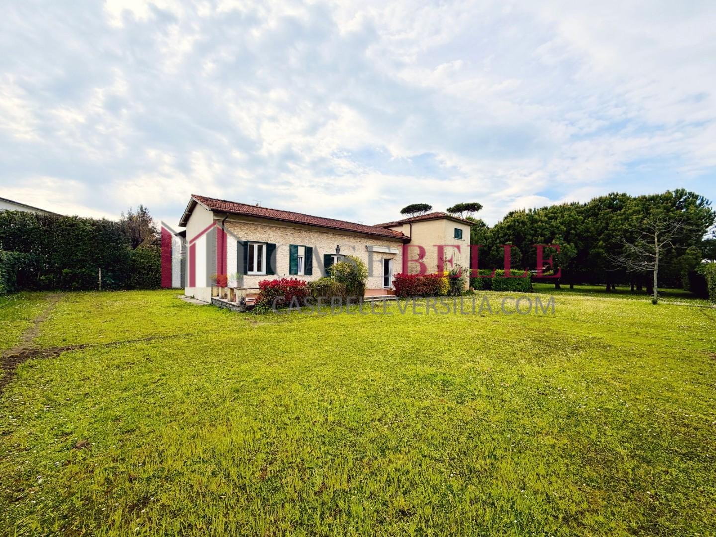 Casa indipendente arredata in affitto, Forte dei Marmi vittoria apuana