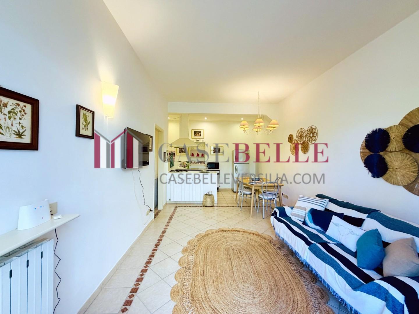 Quadrilocale arredato in affitto, Pietrasanta focette