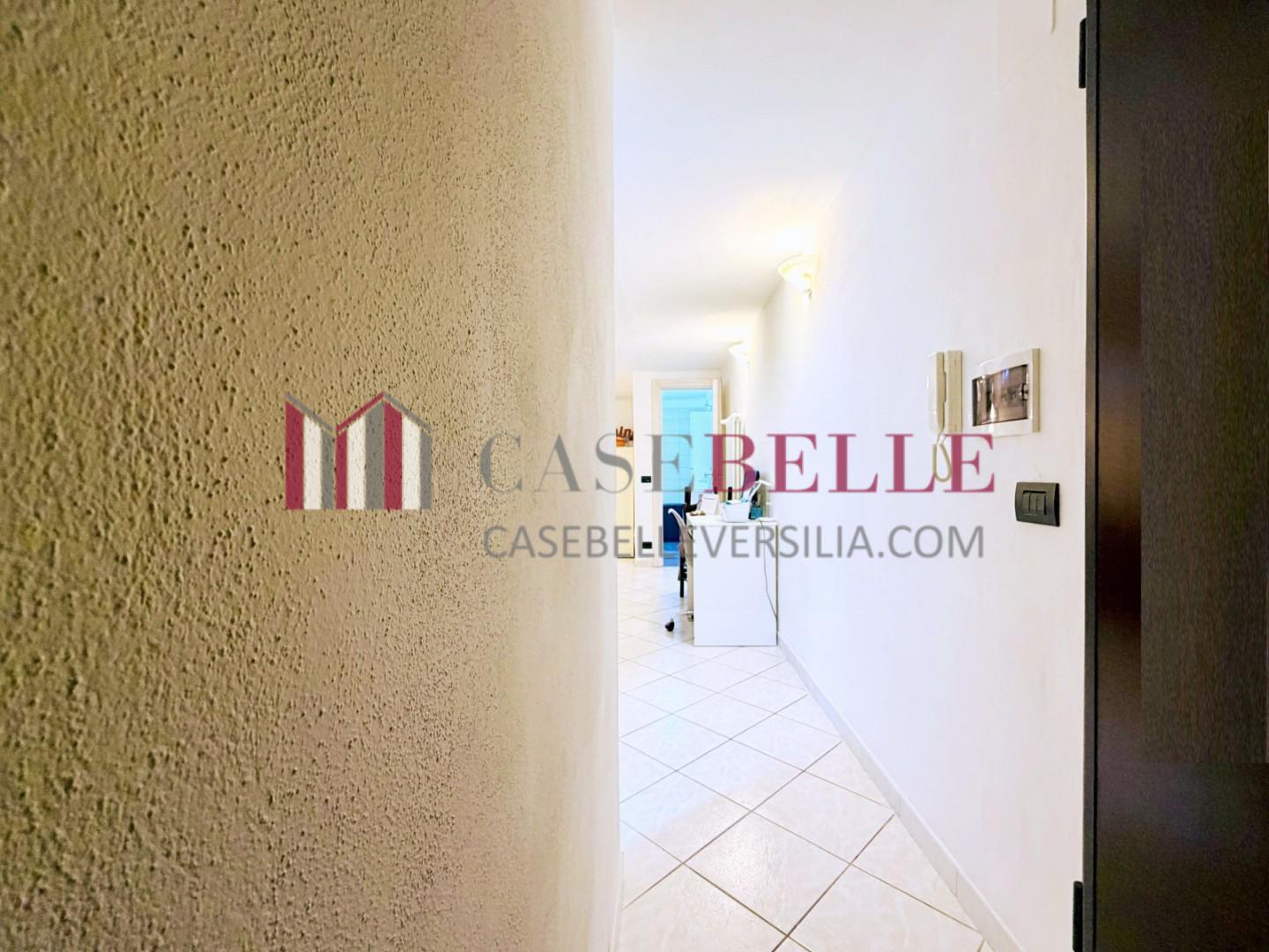 Bilocale arredato in affitto, Camaiore lido di