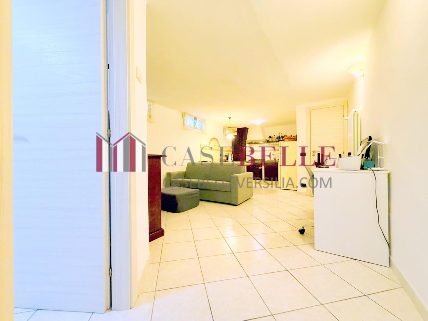 Bilocale arredato in affitto, Camaiore lido di