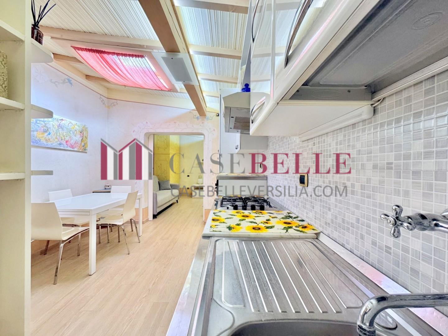 Casa indipendente arredata in affitto, Forte dei Marmi centrale