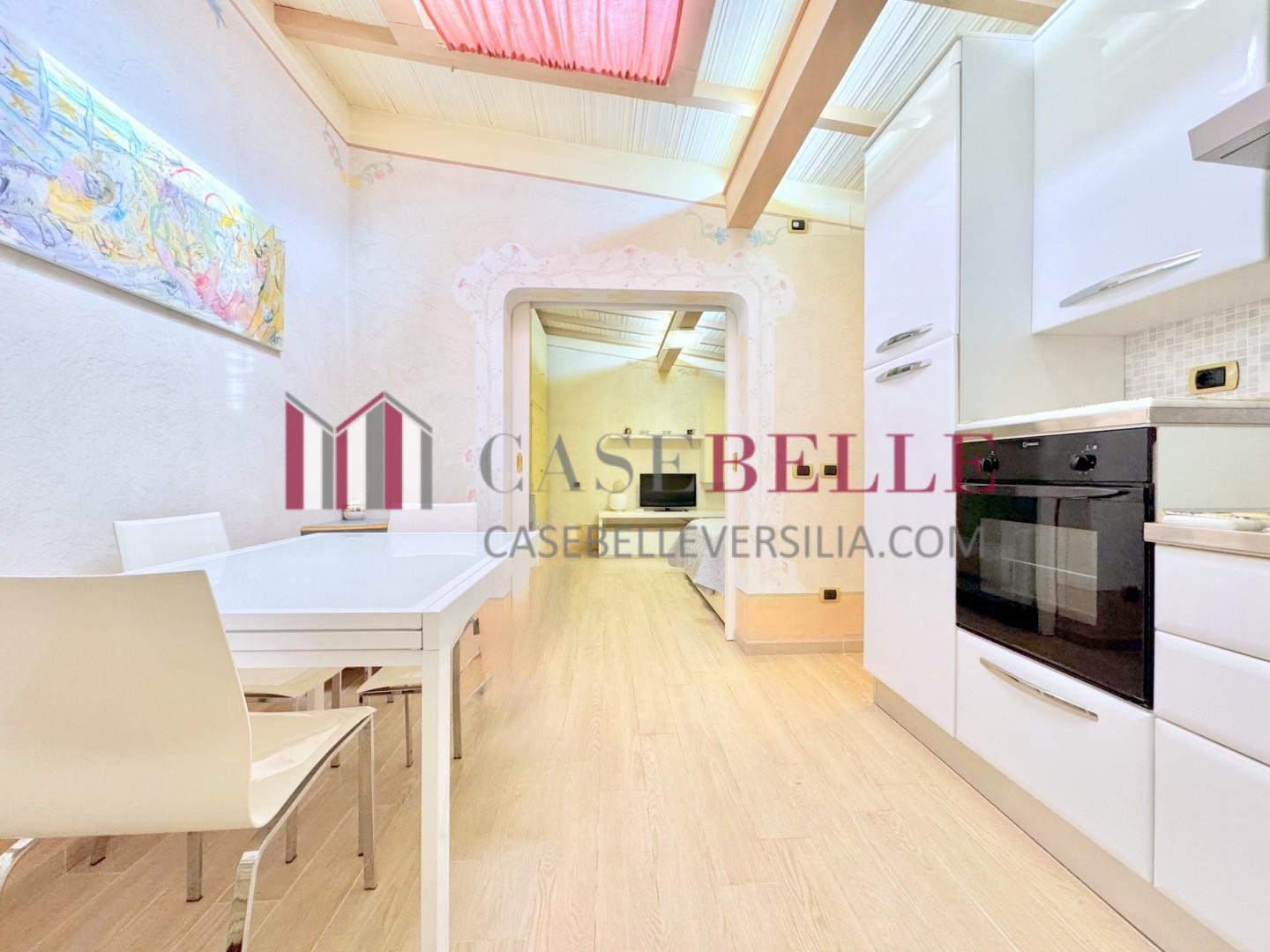 Casa indipendente arredata in affitto, Forte dei Marmi centrale