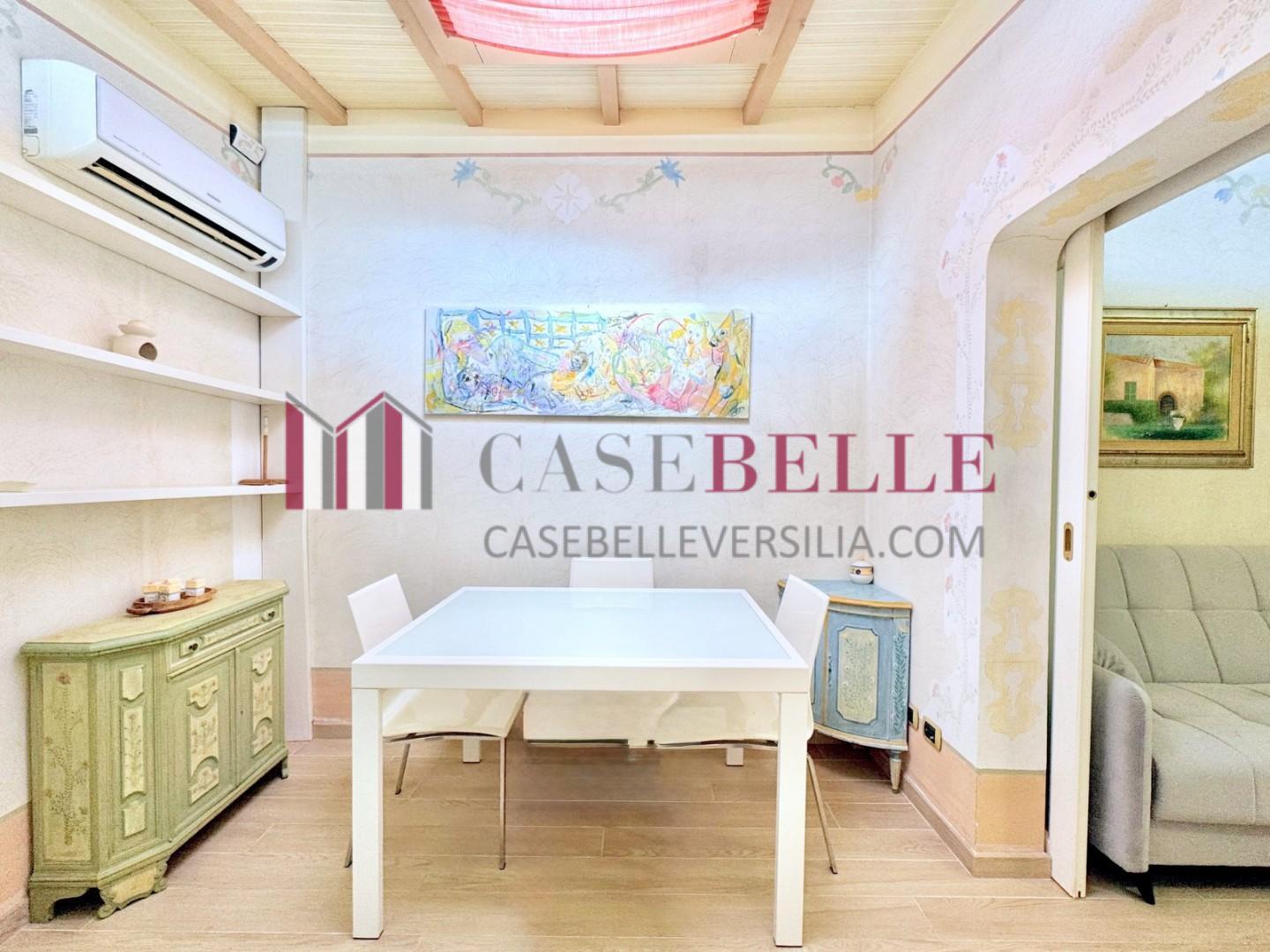 Casa indipendente arredata in affitto, Forte dei Marmi centrale