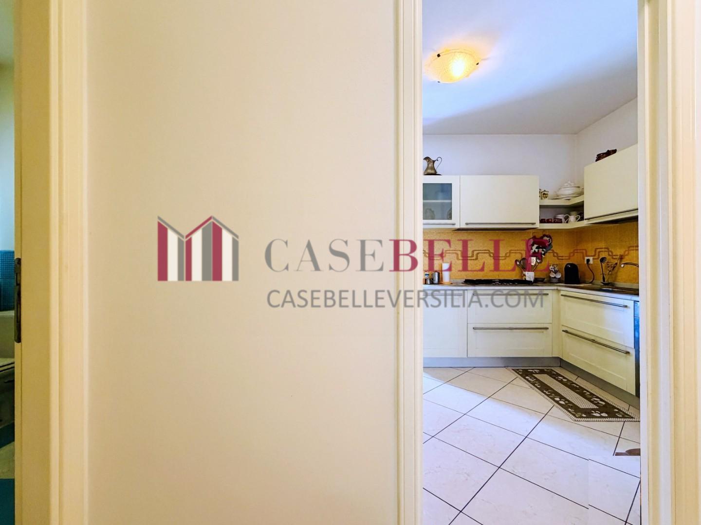 Villa con giardino, Camaiore capezzano pianore