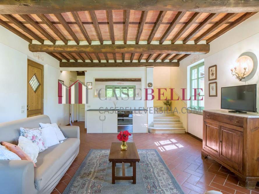 Villa con giardino, Camaiore capezzano pianore