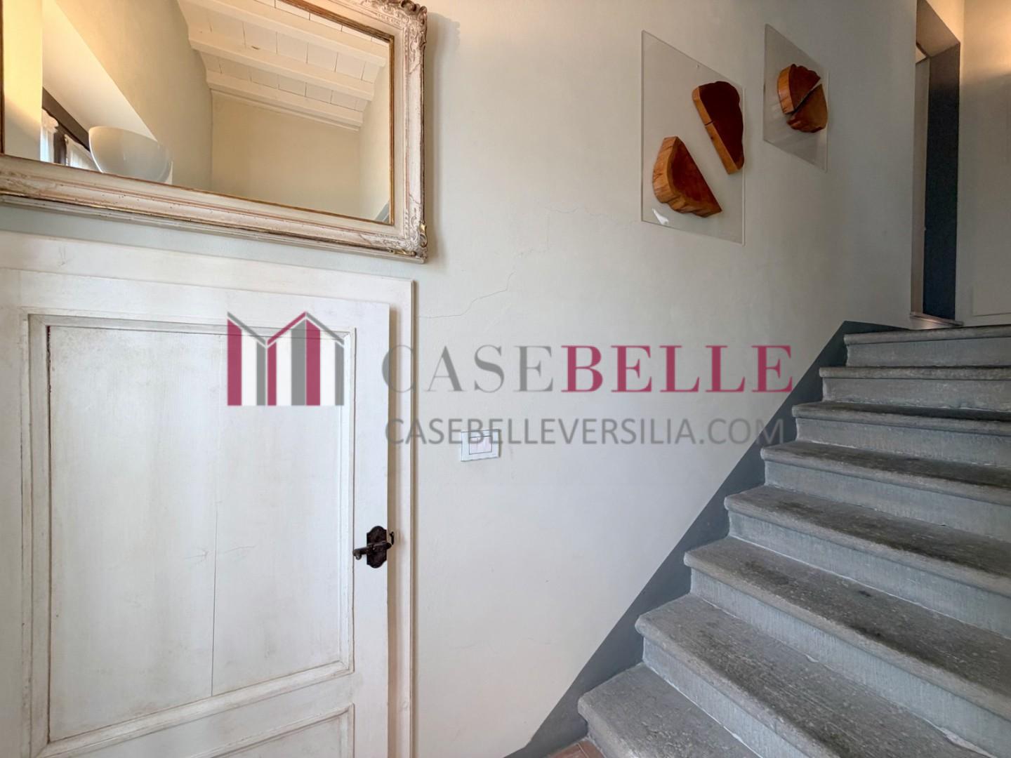 Bilocale in vendita, Camaiore lombrici