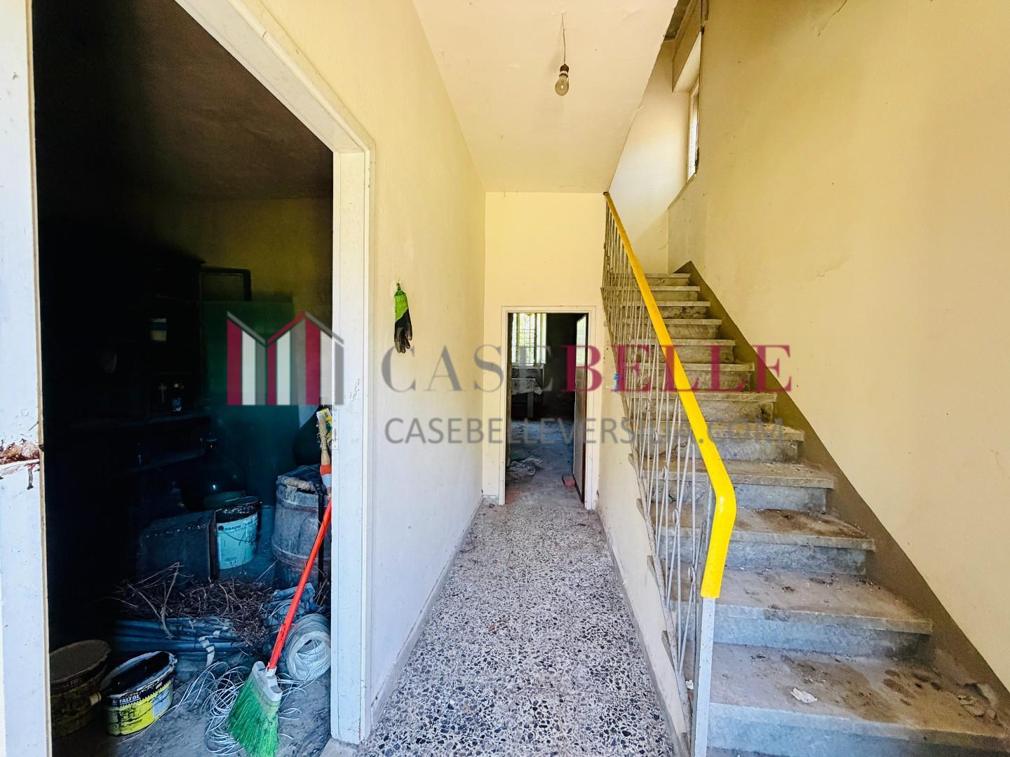 Villa con giardino, Camaiore nocchi