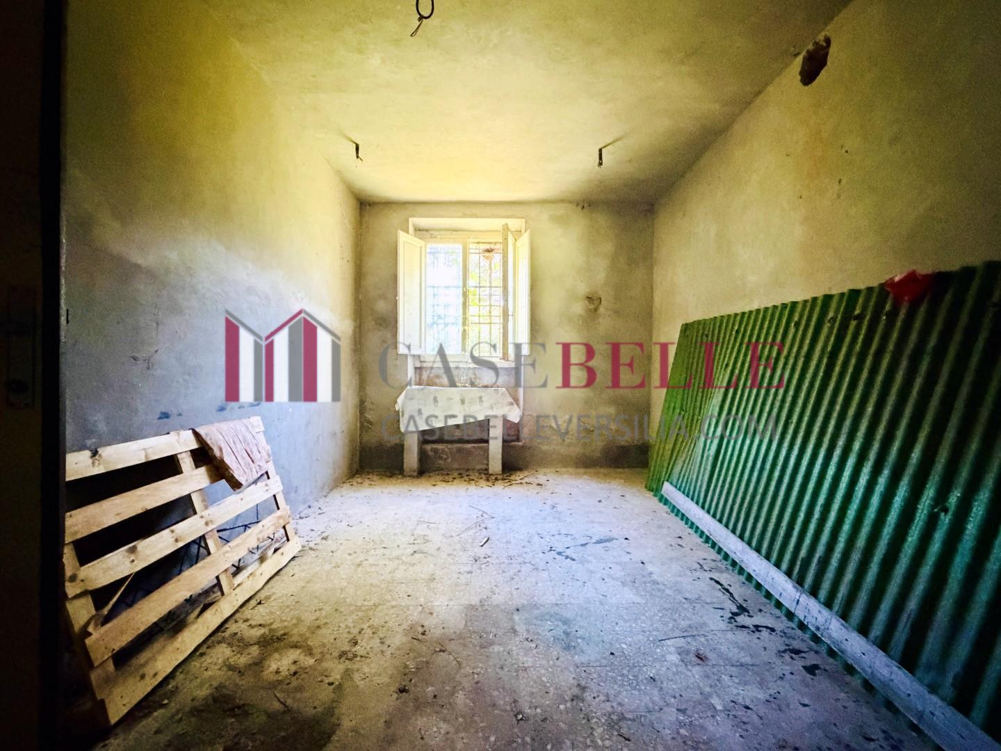 Villa con giardino, Camaiore nocchi