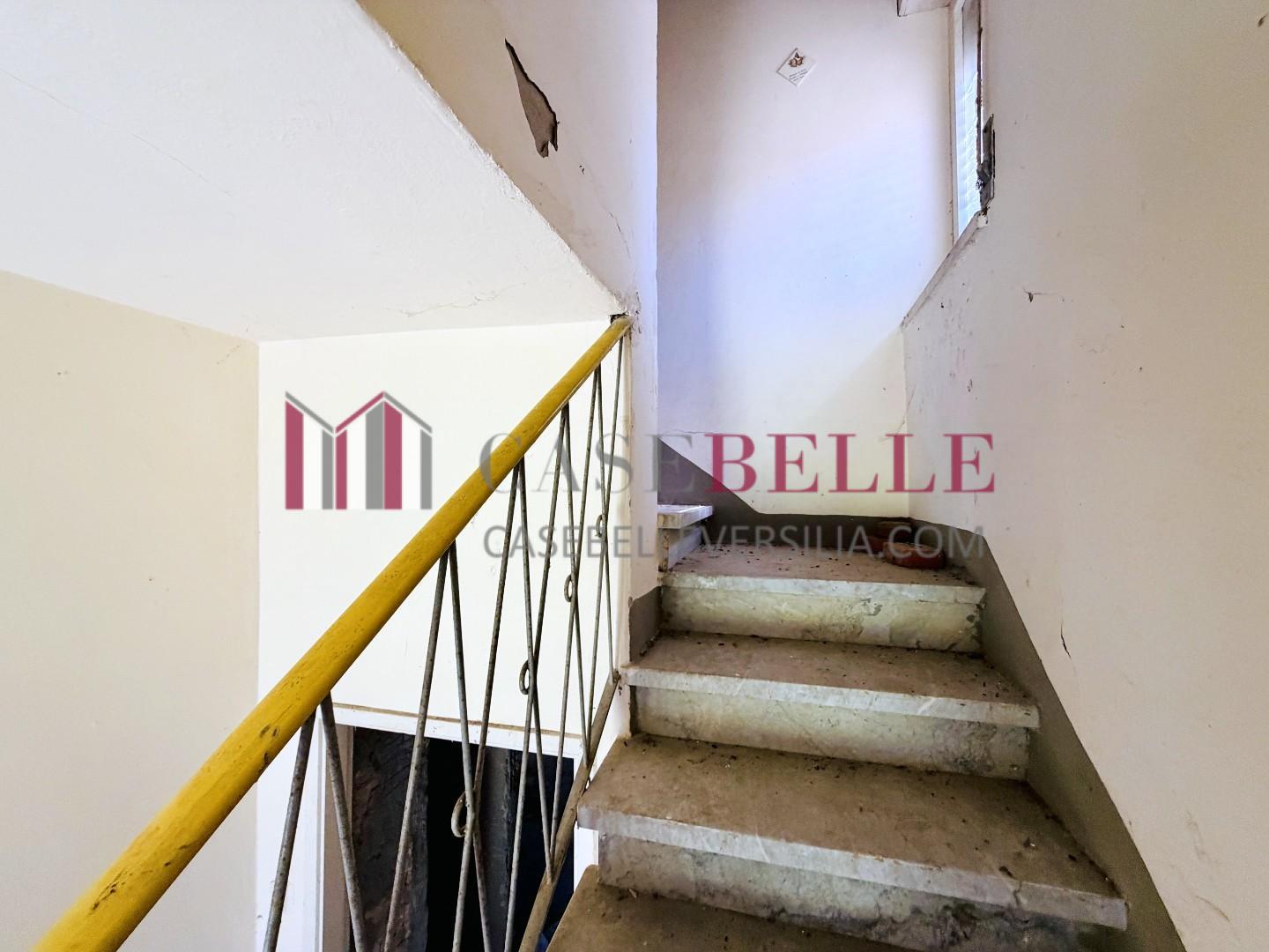 Villa con giardino, Camaiore nocchi