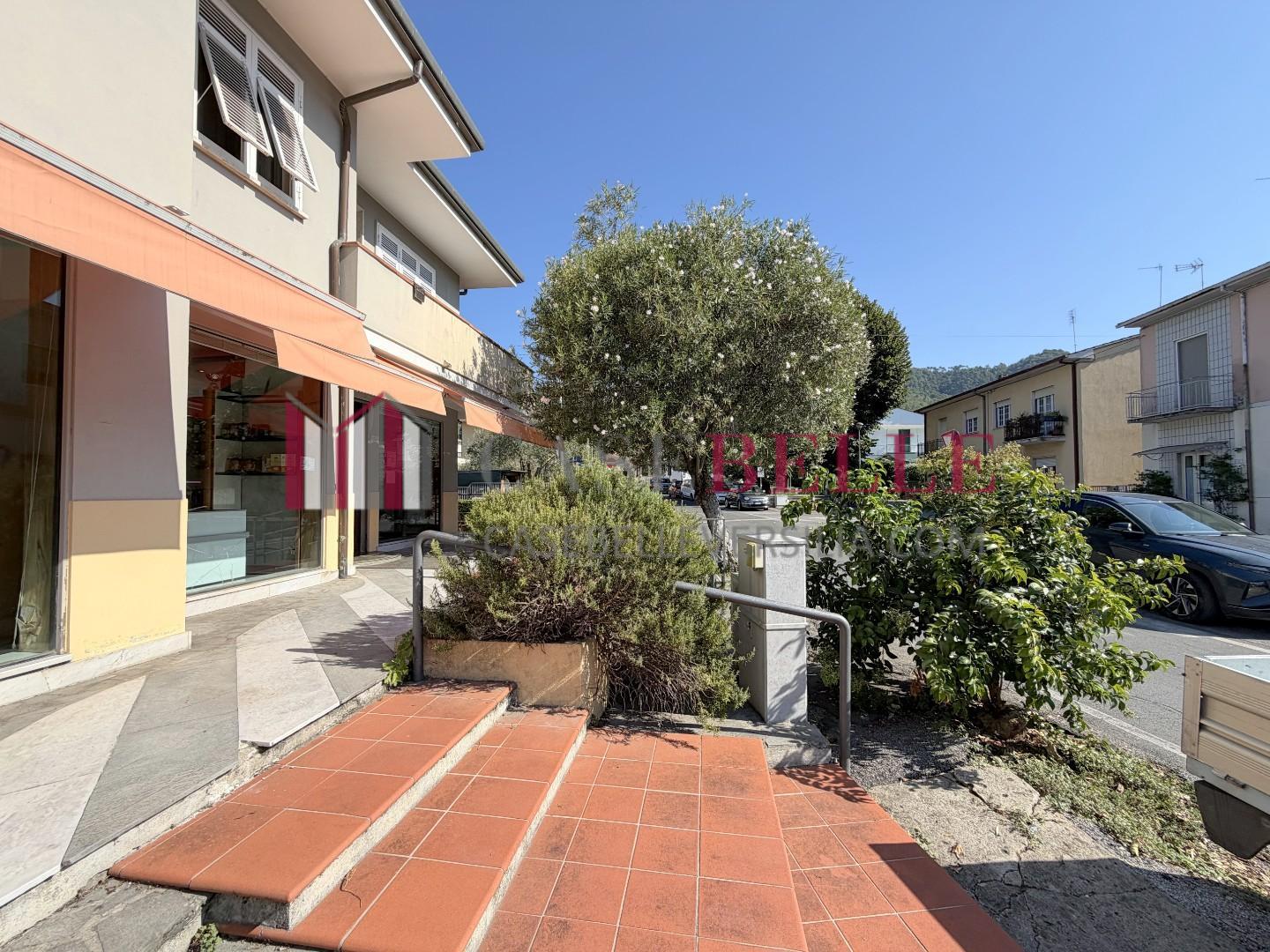 Attivit� commerciale in affitto/gestione, Massarosa stiava