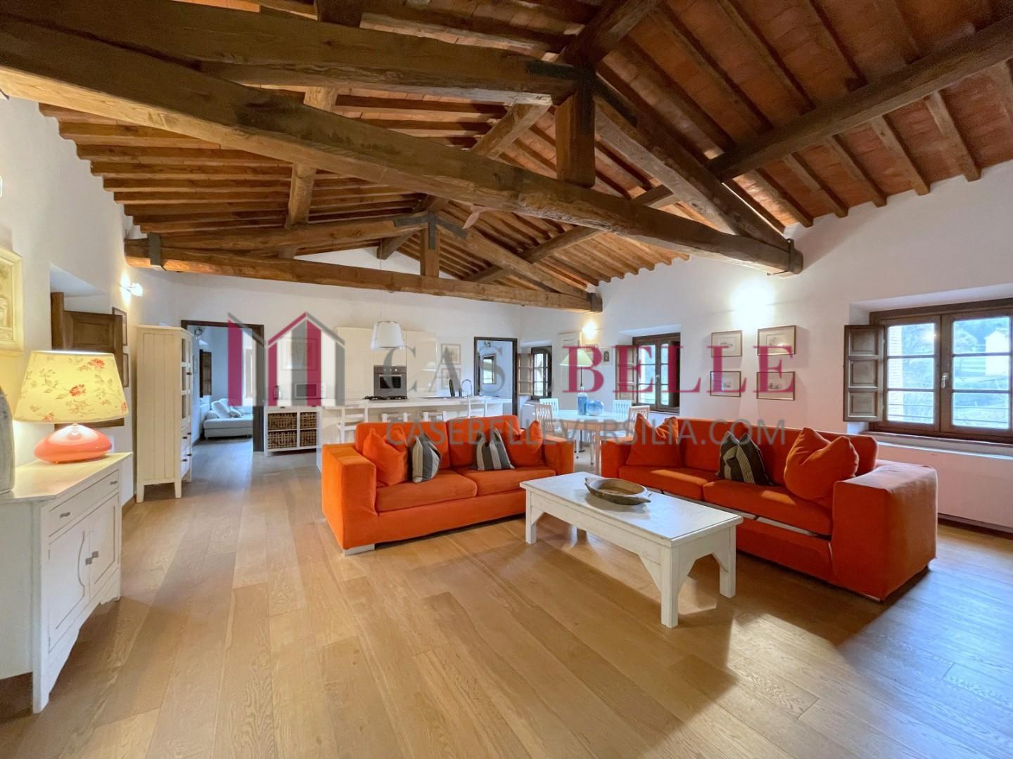 Loft arredato in affitto, Camaiore lombrici