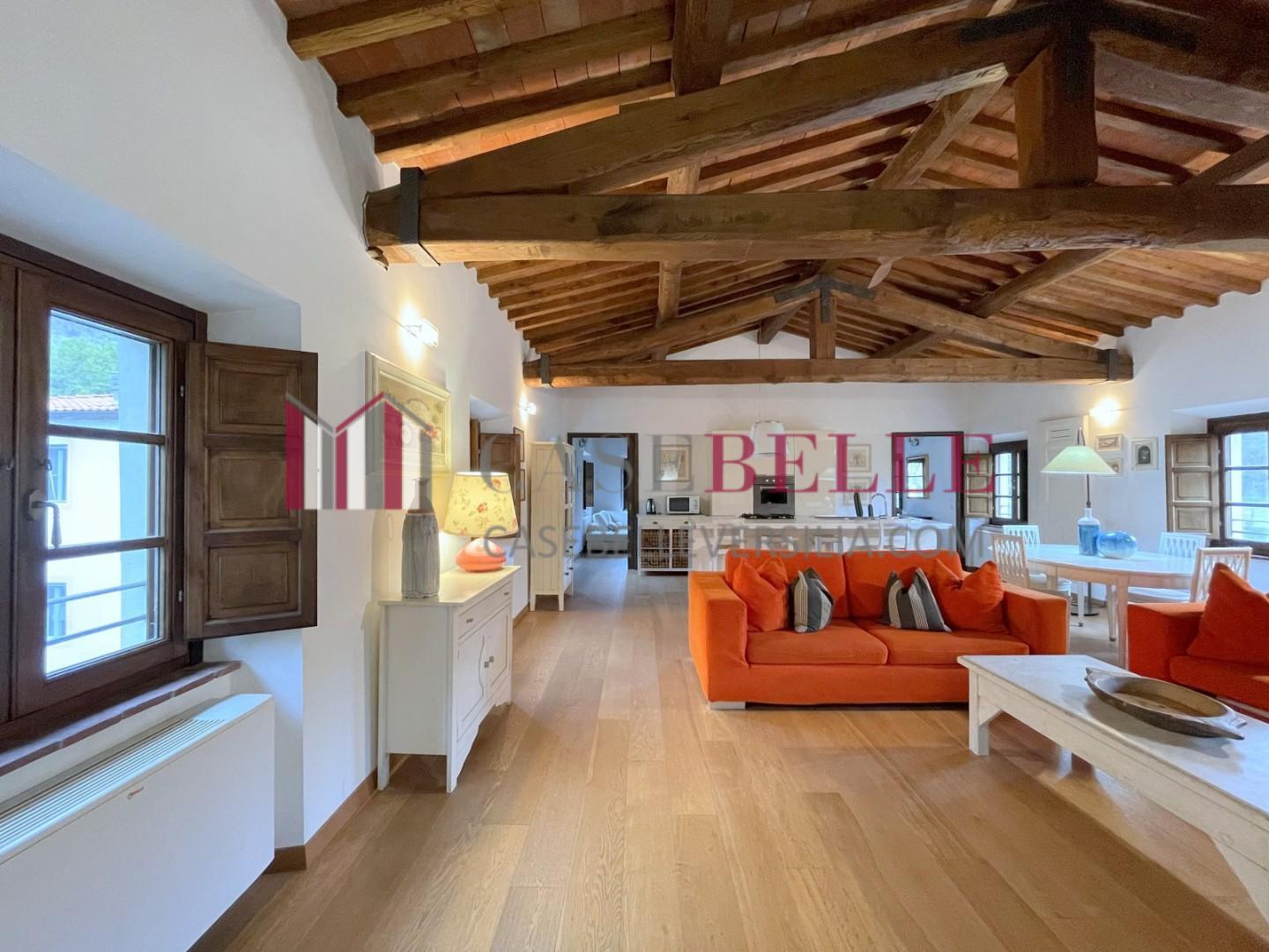 Loft arredato in affitto, Camaiore lombrici