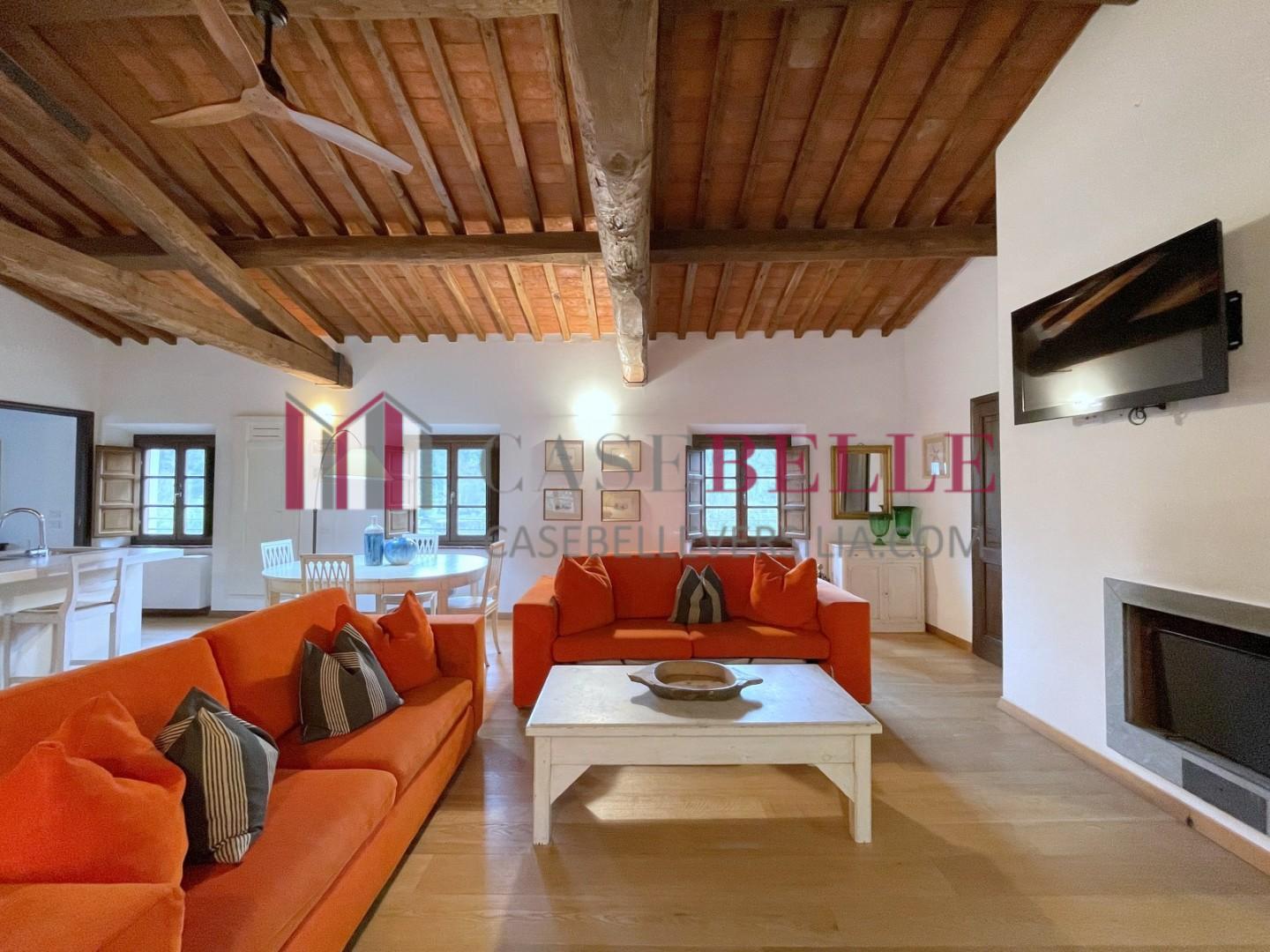 Loft arredato in affitto, Camaiore lombrici