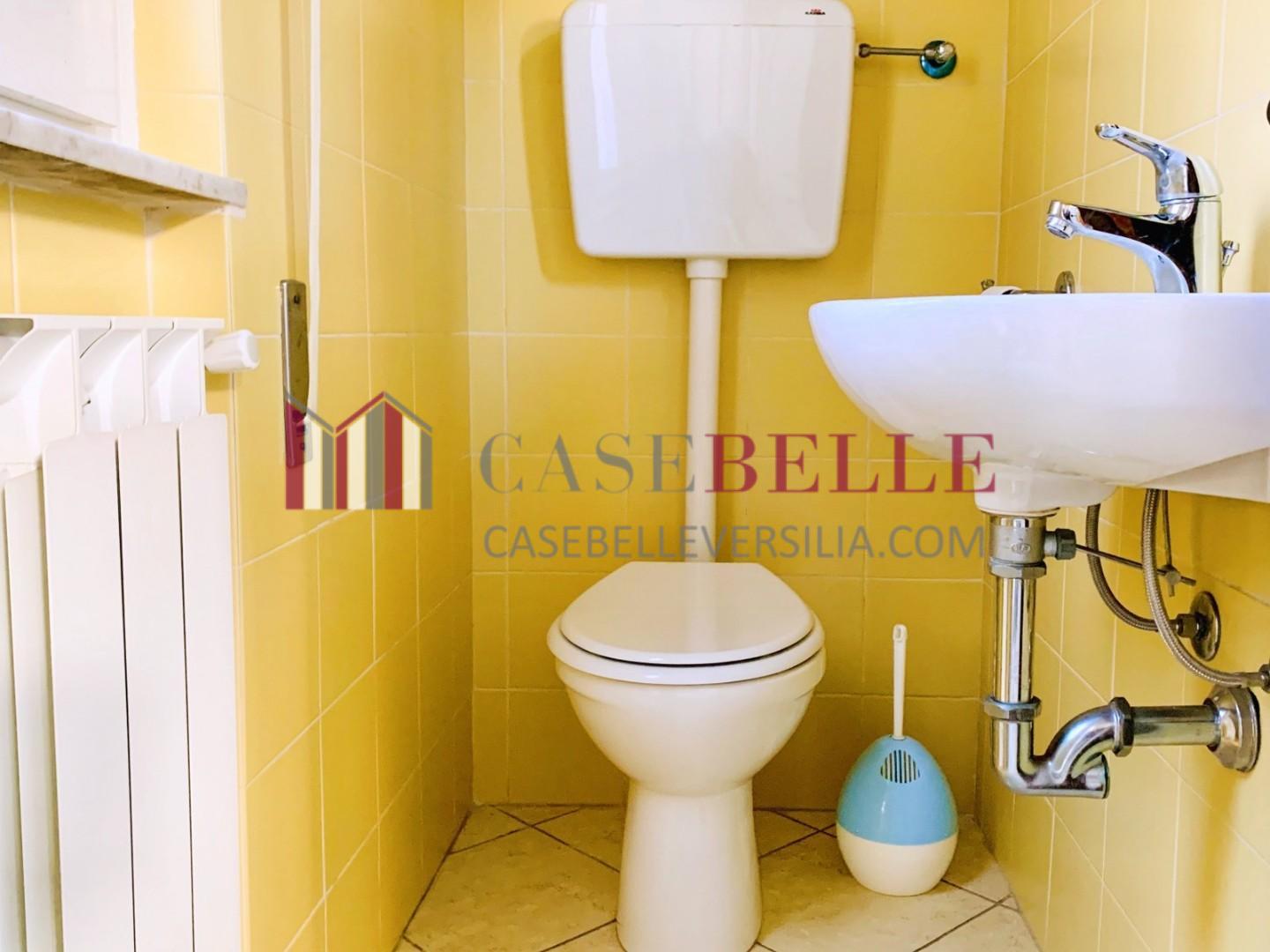 Casa indipendente arredata in affitto, Camaiore lido di