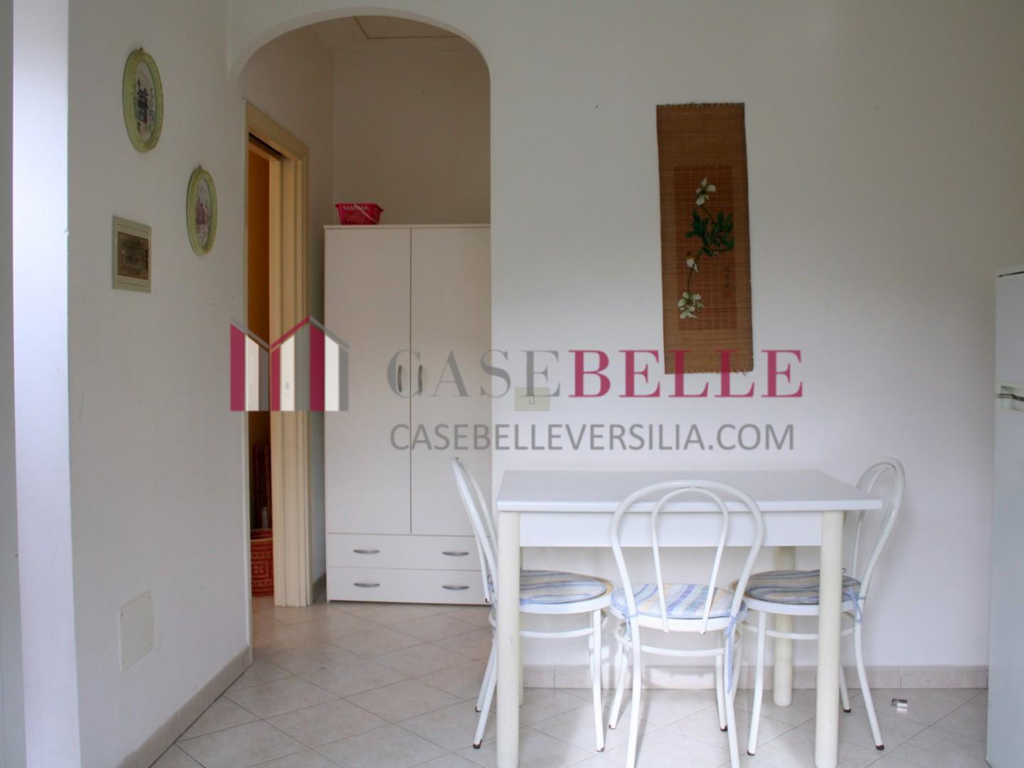 Casa indipendente in affitto, Pietrasanta tonfano