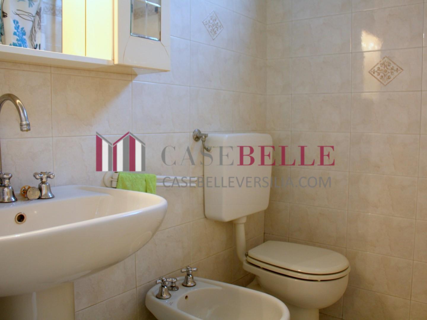 Casa indipendente in affitto, Pietrasanta tonfano