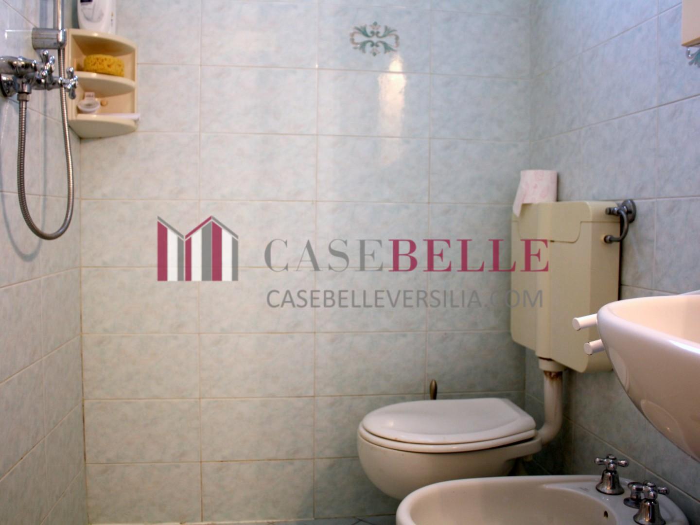 Bilocale arredato in affitto, Pietrasanta tonfano