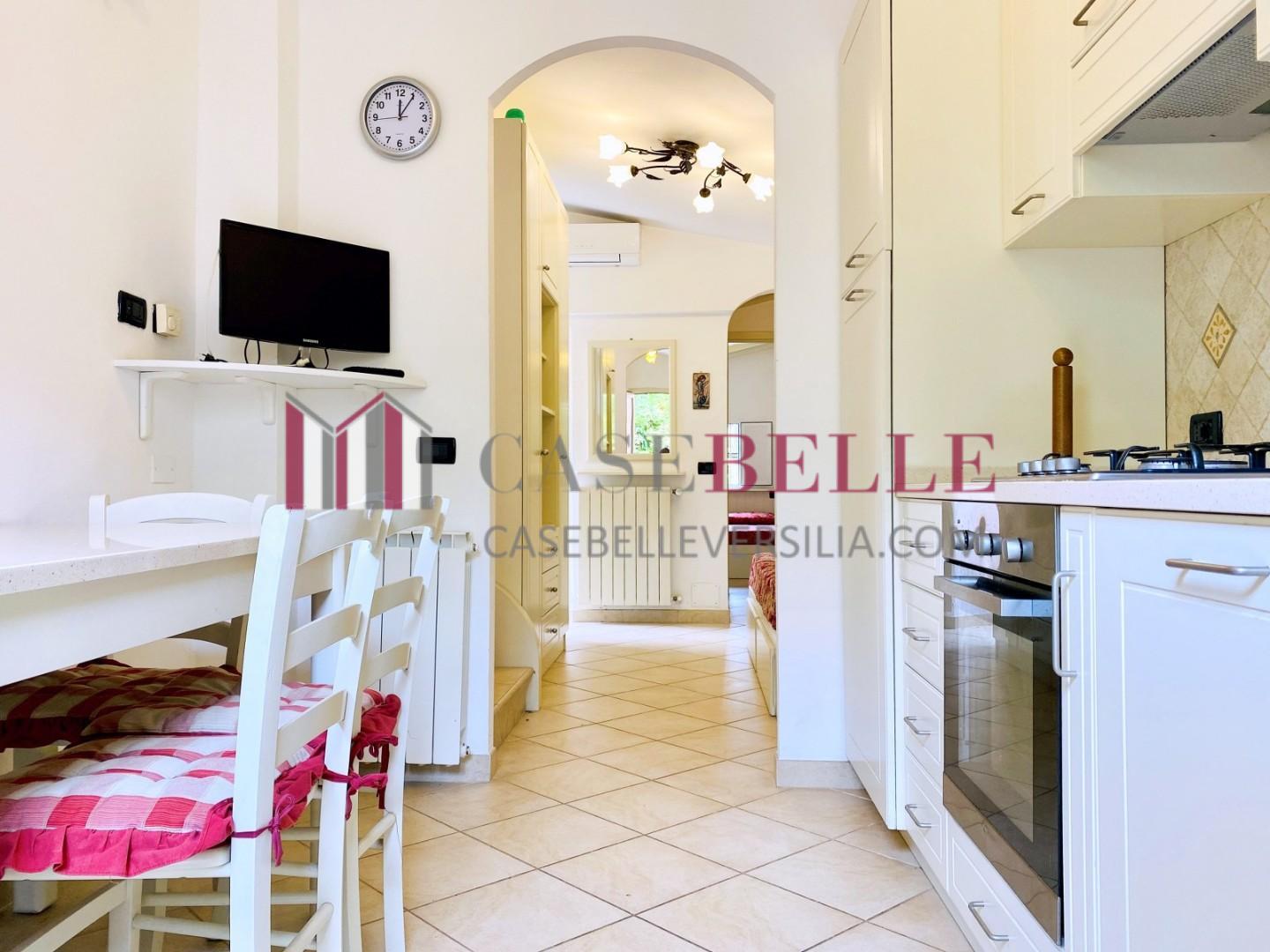 Villa Bifamiliare arredata in affitto, Pietrasanta marina di