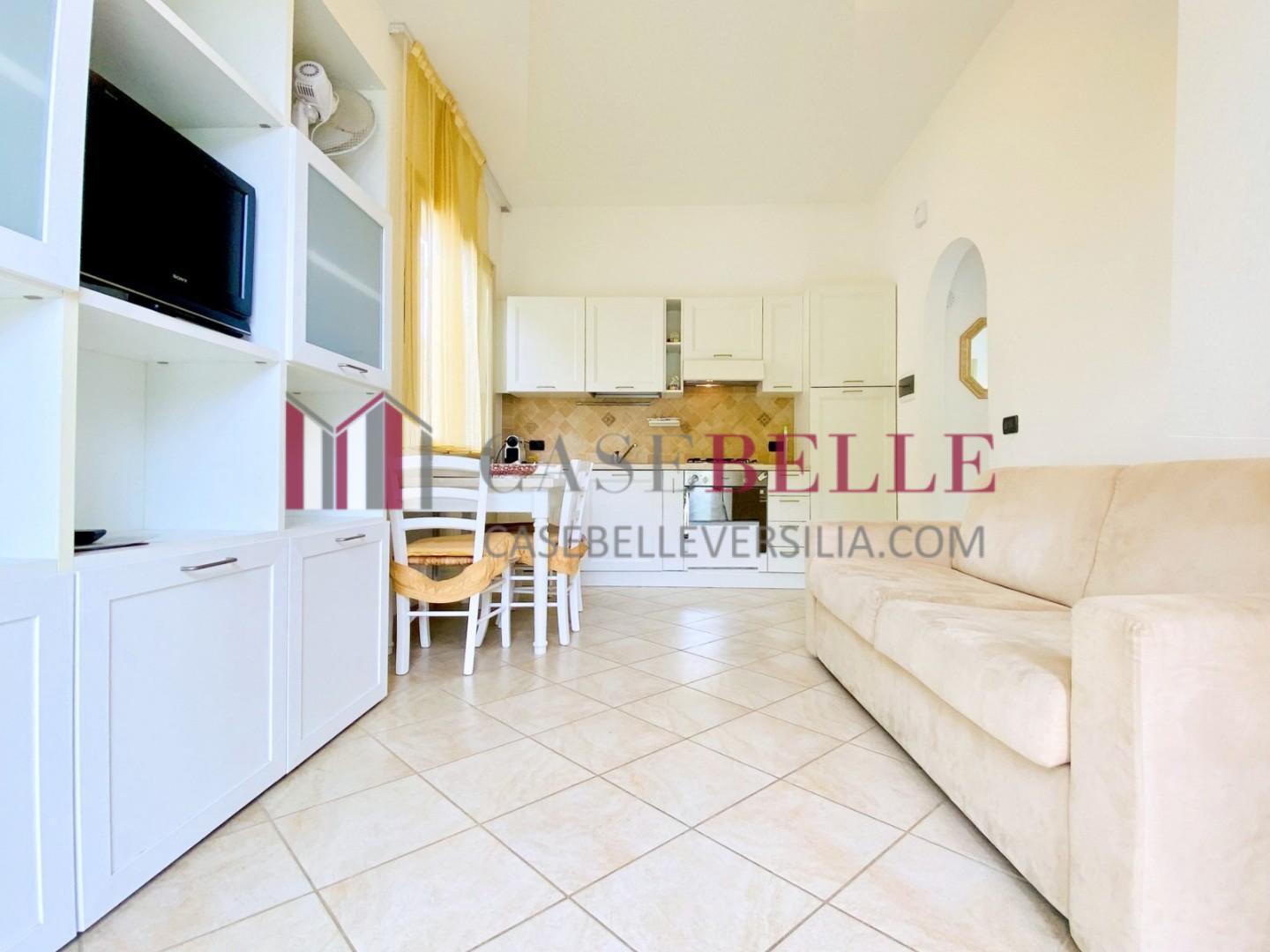 Villa Bifamiliare arredata in affitto, Pietrasanta fiumetto