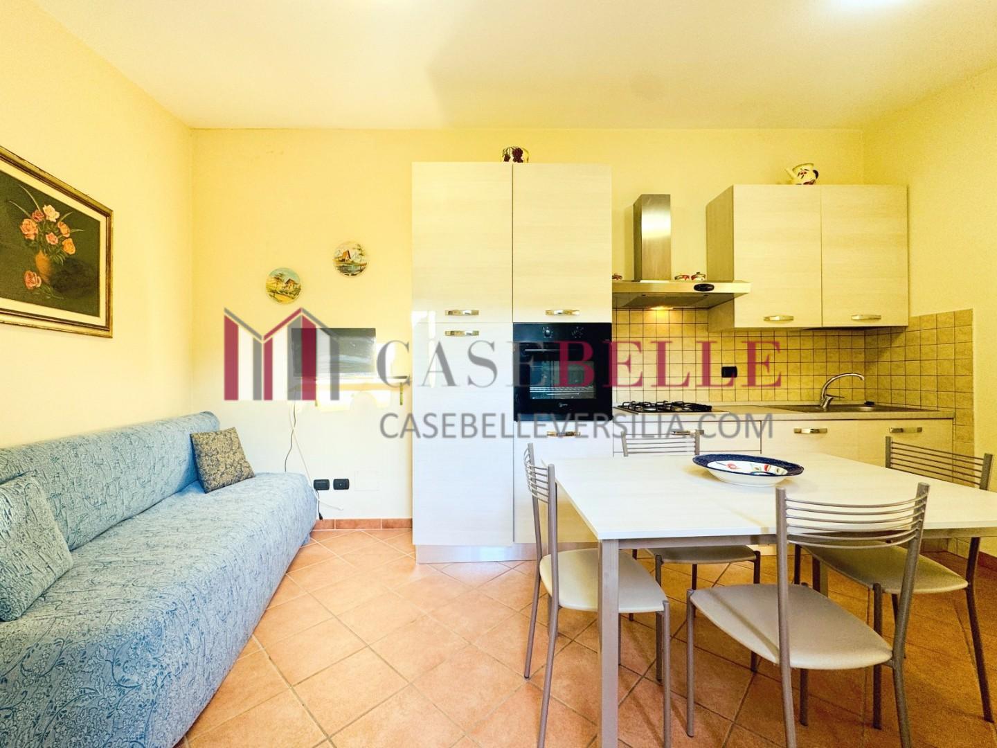 Casa indipendente arredata in affitto, Pietrasanta tonfano